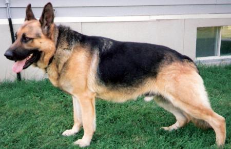 Kevin zum Kolbenguß