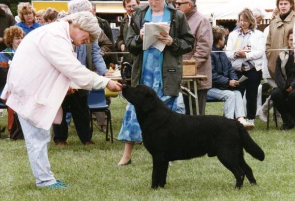 Cricklecreek Cuddley Dudley