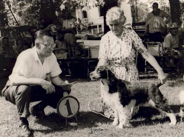 Tamridge Junior Miss