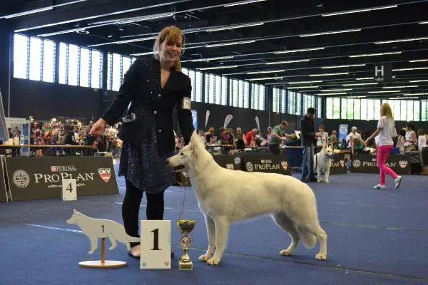 JWW'12, NL YCH Guardian Angel des Gardiens du Pacte
