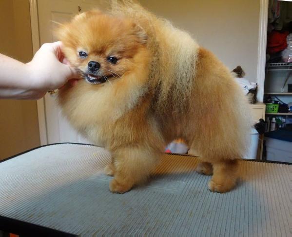 Cheyennes Magic at LilAngelz