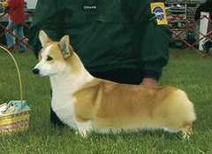 Coventry Naughty By Nature