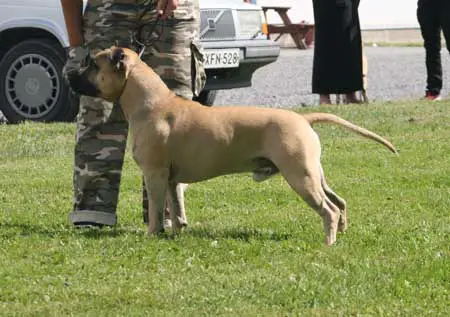 Sticky Wicket's Sleepy Sleepers