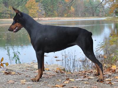 Swift Run Volcan Masaya