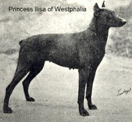 Prinsessin Illisa v.d. Koningstad (Westphalia)