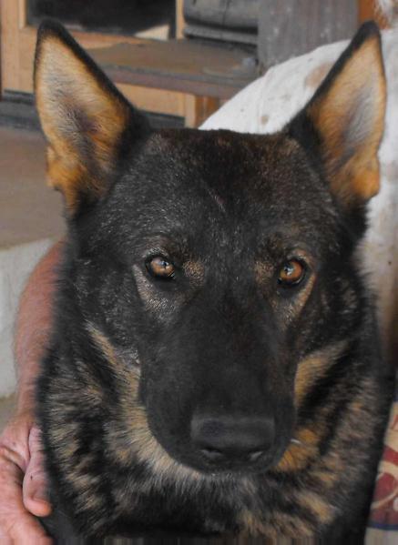 F-Tascha Von Haus Simmons