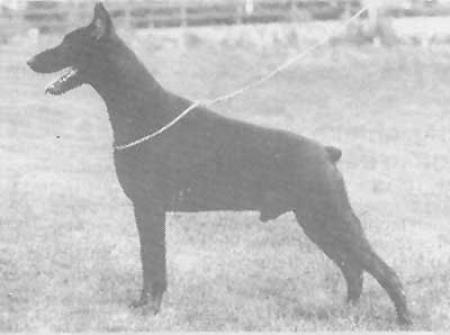 Atleet v. Hermansjomaik