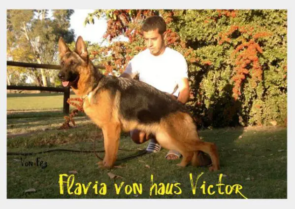 Flavia von haus Víctor