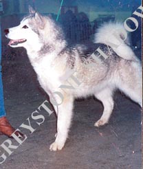 CV CH Selection Line Mystic Moment