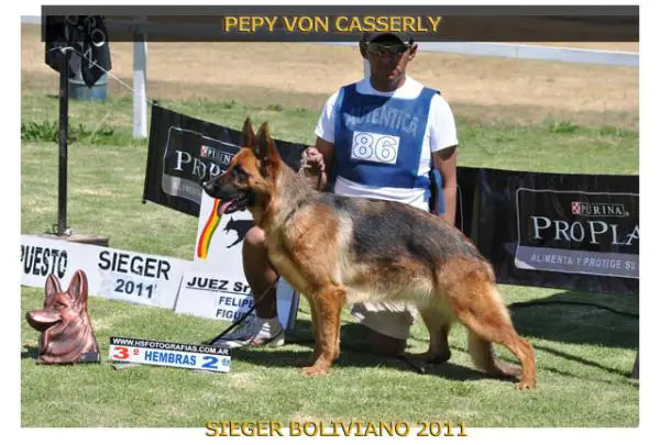 Pepy Von Casserly