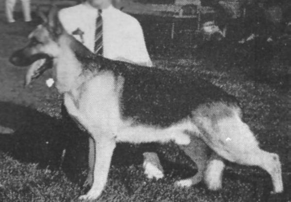 CH (US) Legendaire's Cherokee