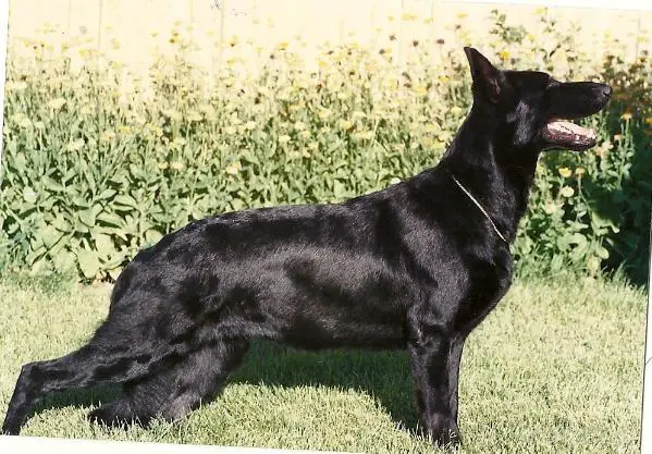 Asta von der Zumwalt