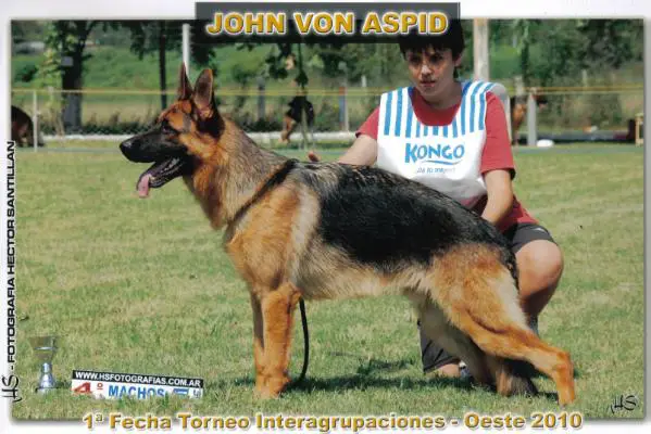 John Von Aspid