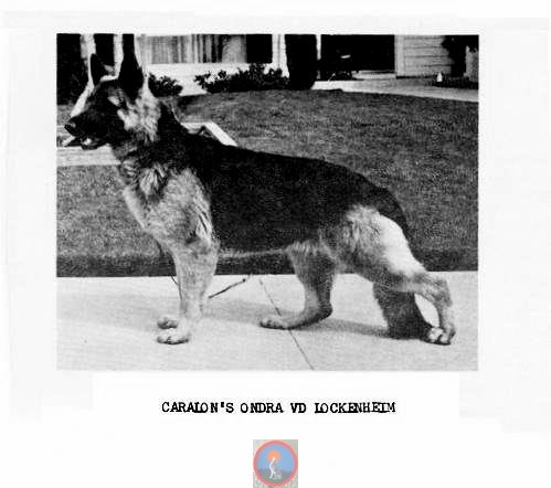 Caralon's Ondra VD Lockenheim