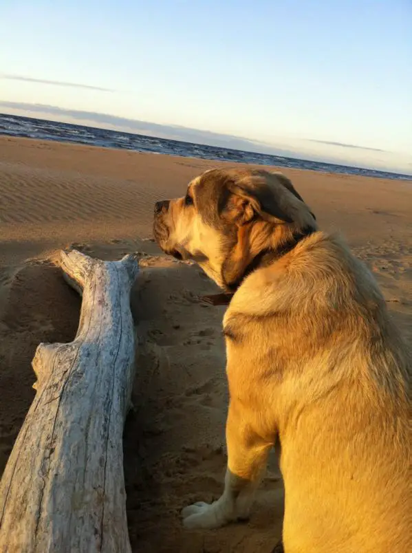 LV,LT,EE,RU,BALTJ CH Jessica Juna Maravilloso