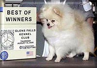 Mustang`s brittney christin