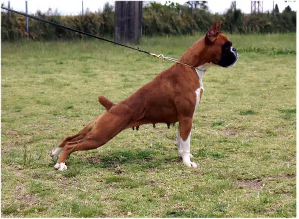 Ursula de los Morritos