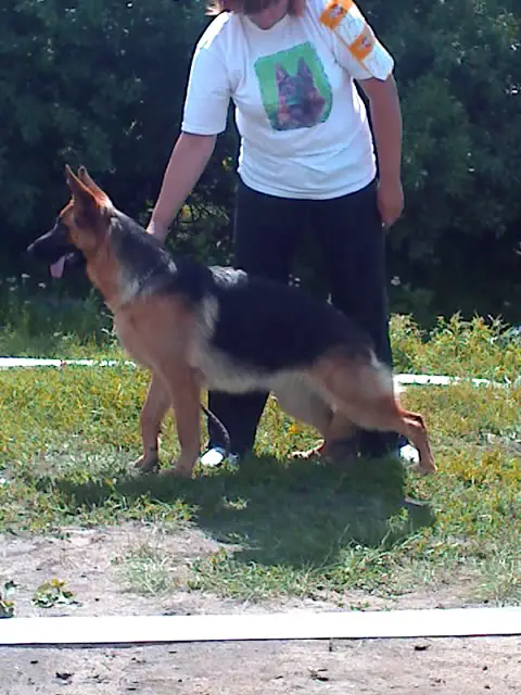 Roksana de Sha Bear