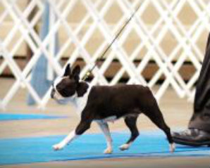 T-BO'S ONLY TIME WILL TELL