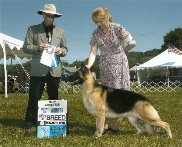 CH Barick's Wildfire V Tindrock