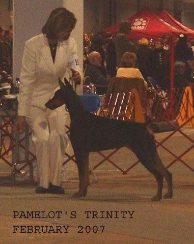 Pamelot's Trinity