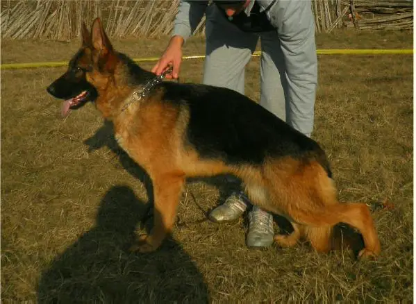 Klara von der Onni Haus