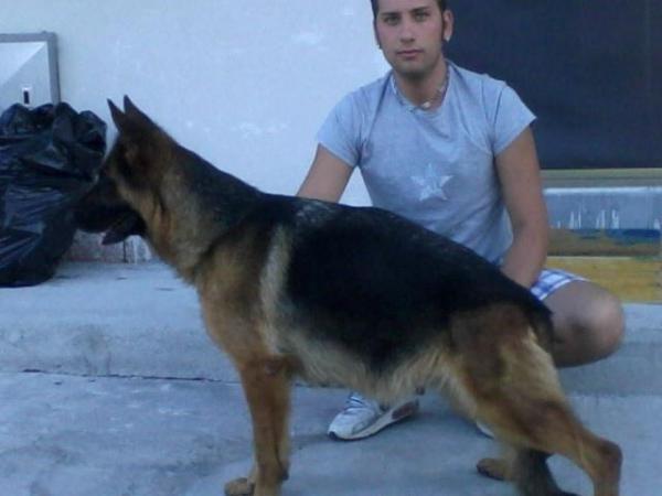 yuma della baia imperiale