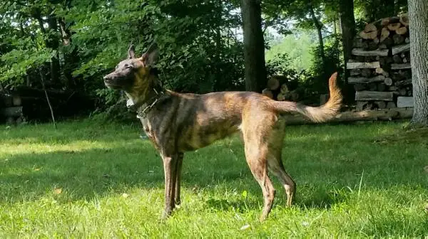 Axel van Kruiden Tuin