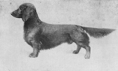 Freischütz vom Bergwald