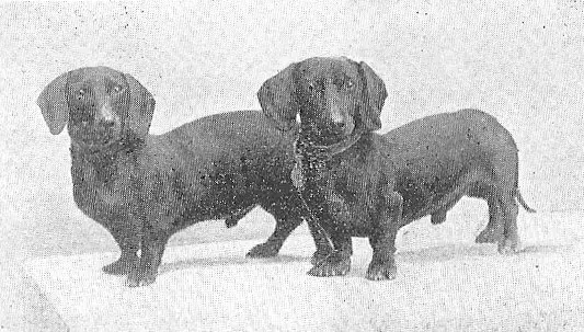 Junker Schlupfer vom Jägerhaus