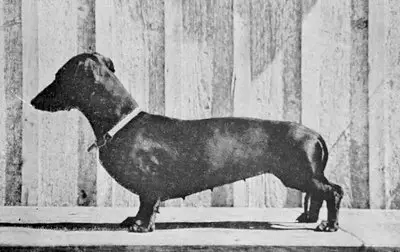 Frem von Lichtenstein