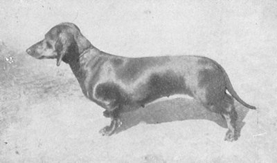 Heimchen II-Flottenberg