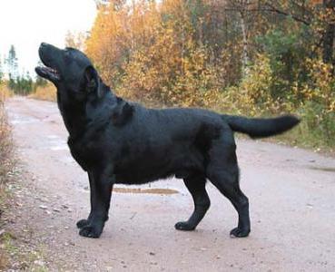 TALIMAR MALLORNS STORM WARNING