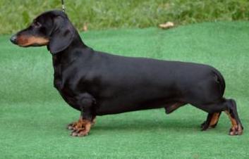 Borgen-Borgen Rotchild