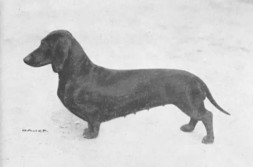 AM. CH Hanka-Flottenberg