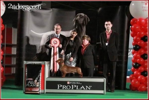 Kan Trace Never Mind