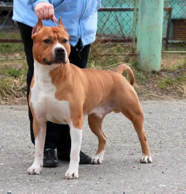 CH RUS Talk To Your Heart De M'A'M