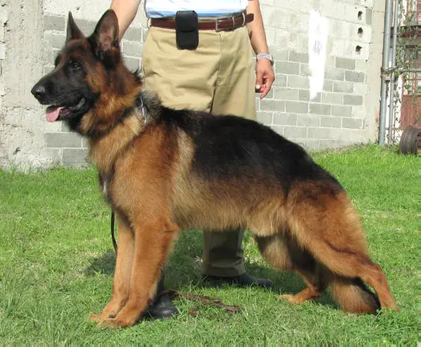 Lars van Swartenberg