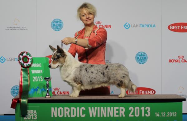 CIB NORDIC All Trade Gone Fishing