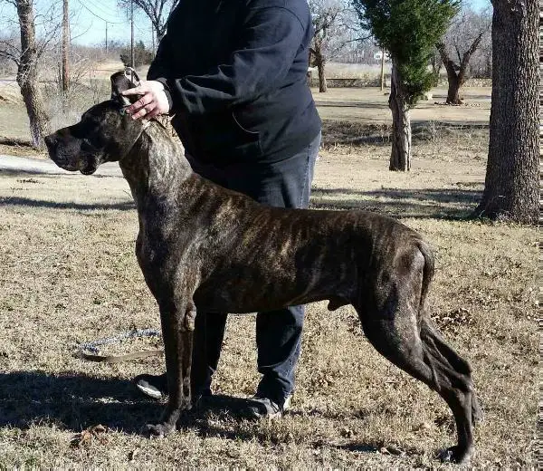 Driftwoods How Did You Get To Me V CNW