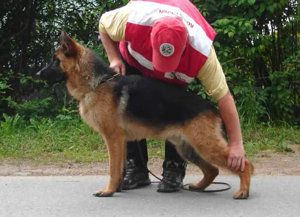 SG1,LTJCH Rich Naujavilnietis