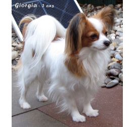 Sweet little butterfly Giorgia