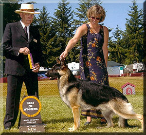 CH (CAN) Krissd's Dom Perignon v. Cypress