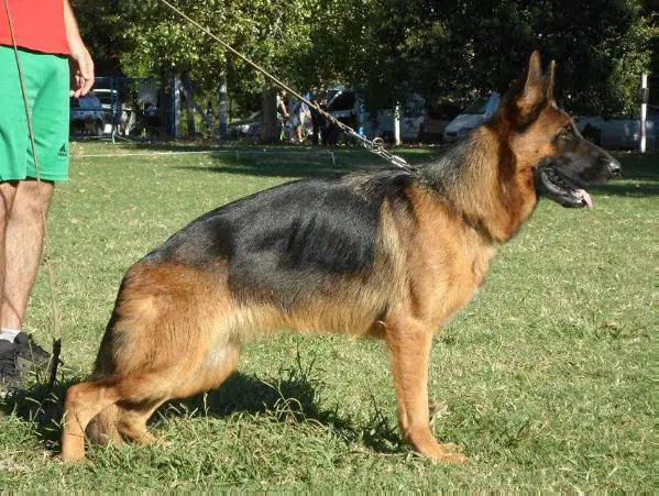 VA11 ARG 2016 Ebba von Renk