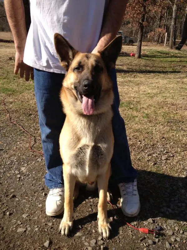 General Maximus Decimus Lafrancis