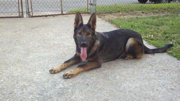 Ava von der haus Gill