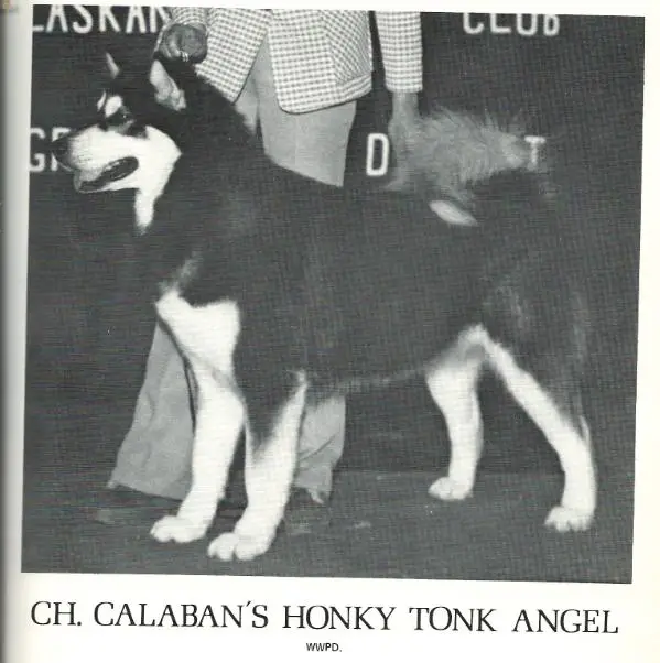 Calaban's Honky Tonk Angels