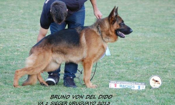 VA 1 Bruno von del dido.