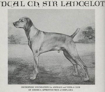 DC AFC Sir Lancelot