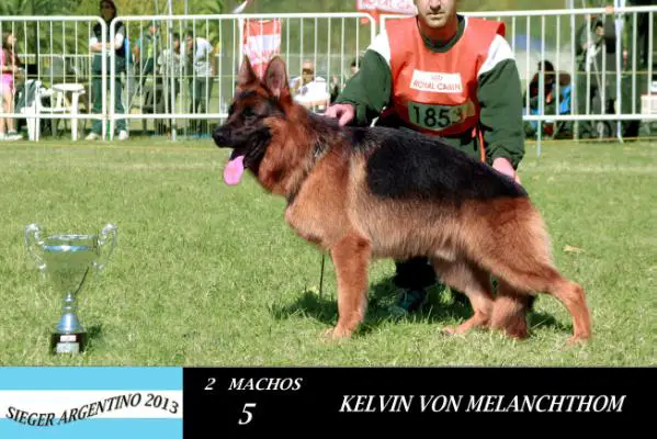 SG 29 (BSZS 2012) Kelvin von Melanchthon    	